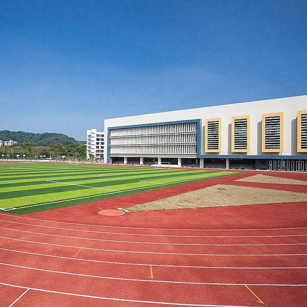 学校领域
